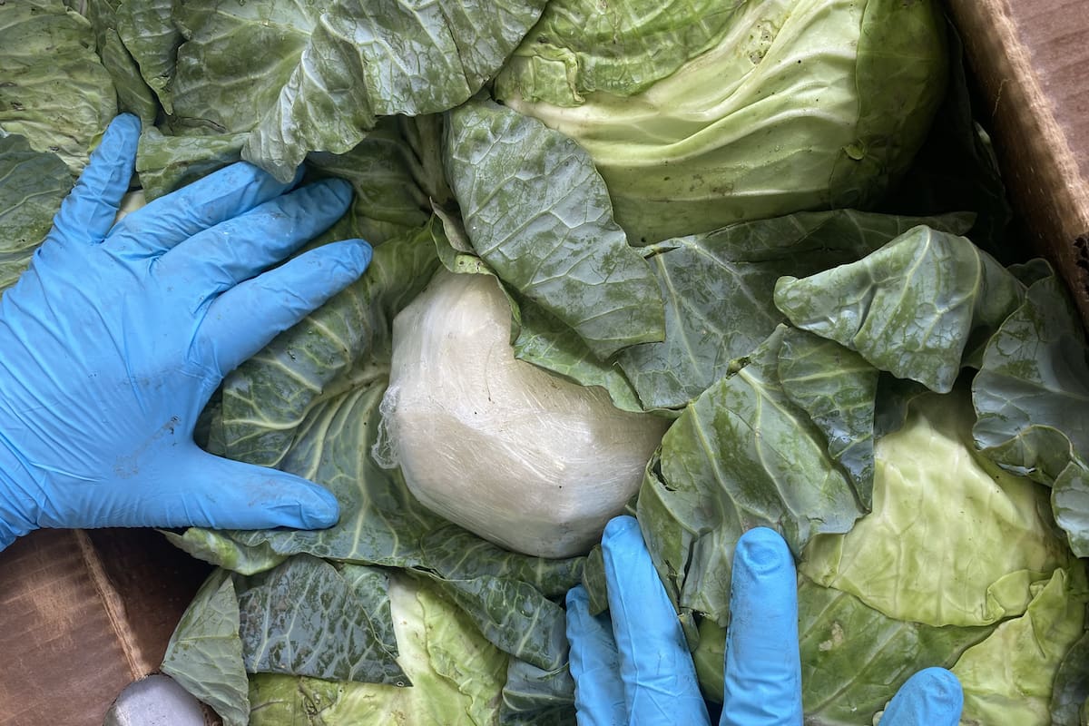 EEUU: Hombre es arrestado tras traficar más de 1300 kilos de metanfetamina oculta en repollos