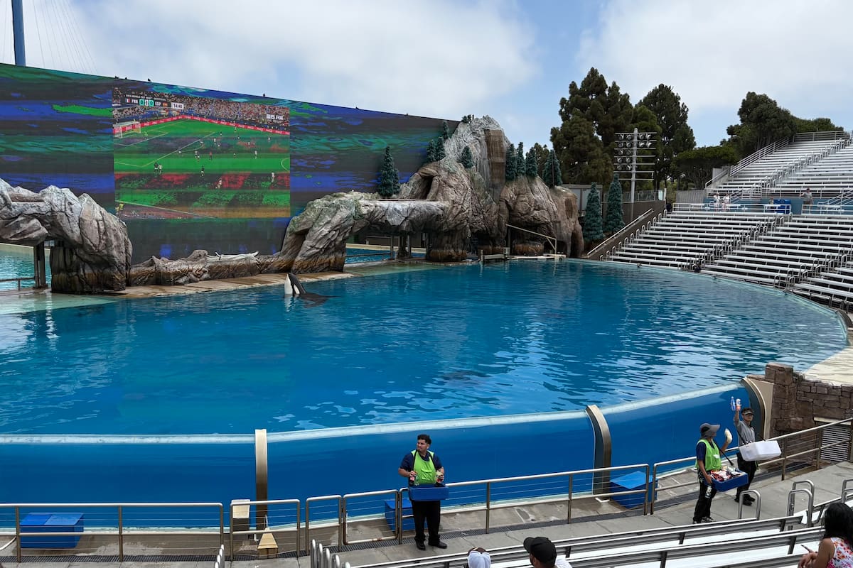 SeaWorld San Diego proyecta partido del Mundial FIFA 2026 en el estadio de las orcas