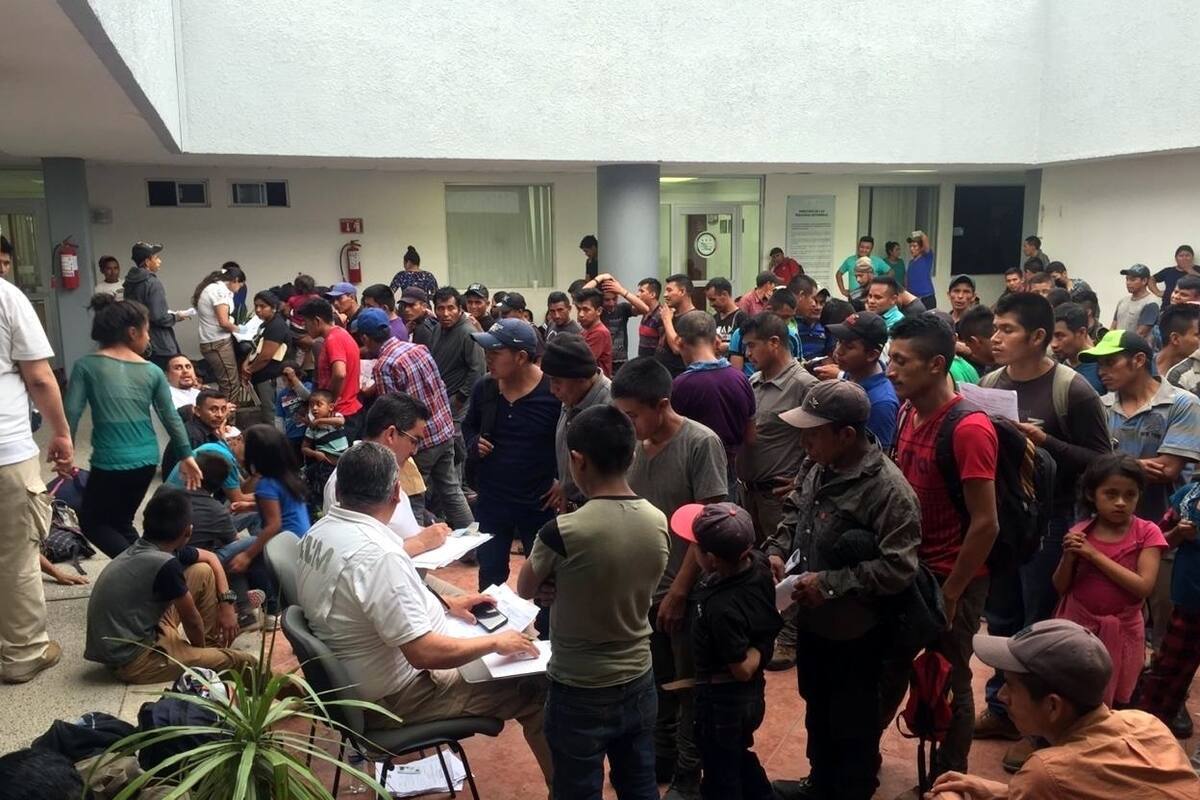 Migrantes de caravanas pueden trabajar con CURP’s