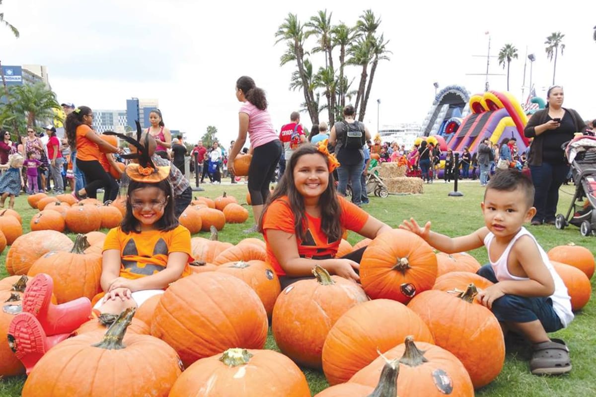 San Diego tendrá huerto de calabazas gratis frente a la bahía