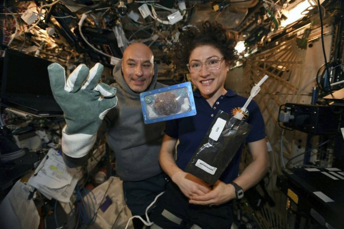 Lograron hornear las primeras galletas en el espacio