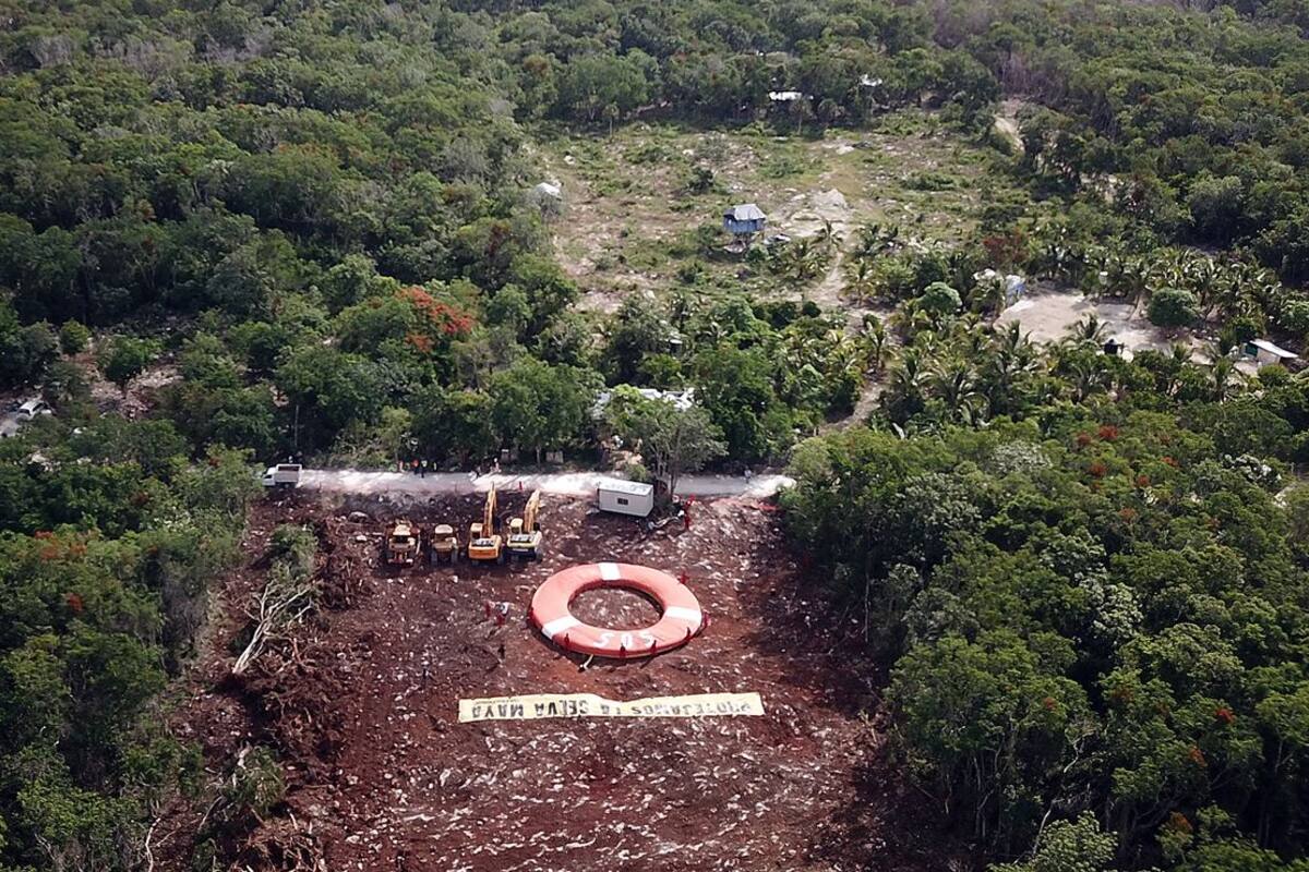 Tren Maya: Se reinician trabajos en el tramo 5; se declaró como "obra prioritaria" y de "seguridad nacional"