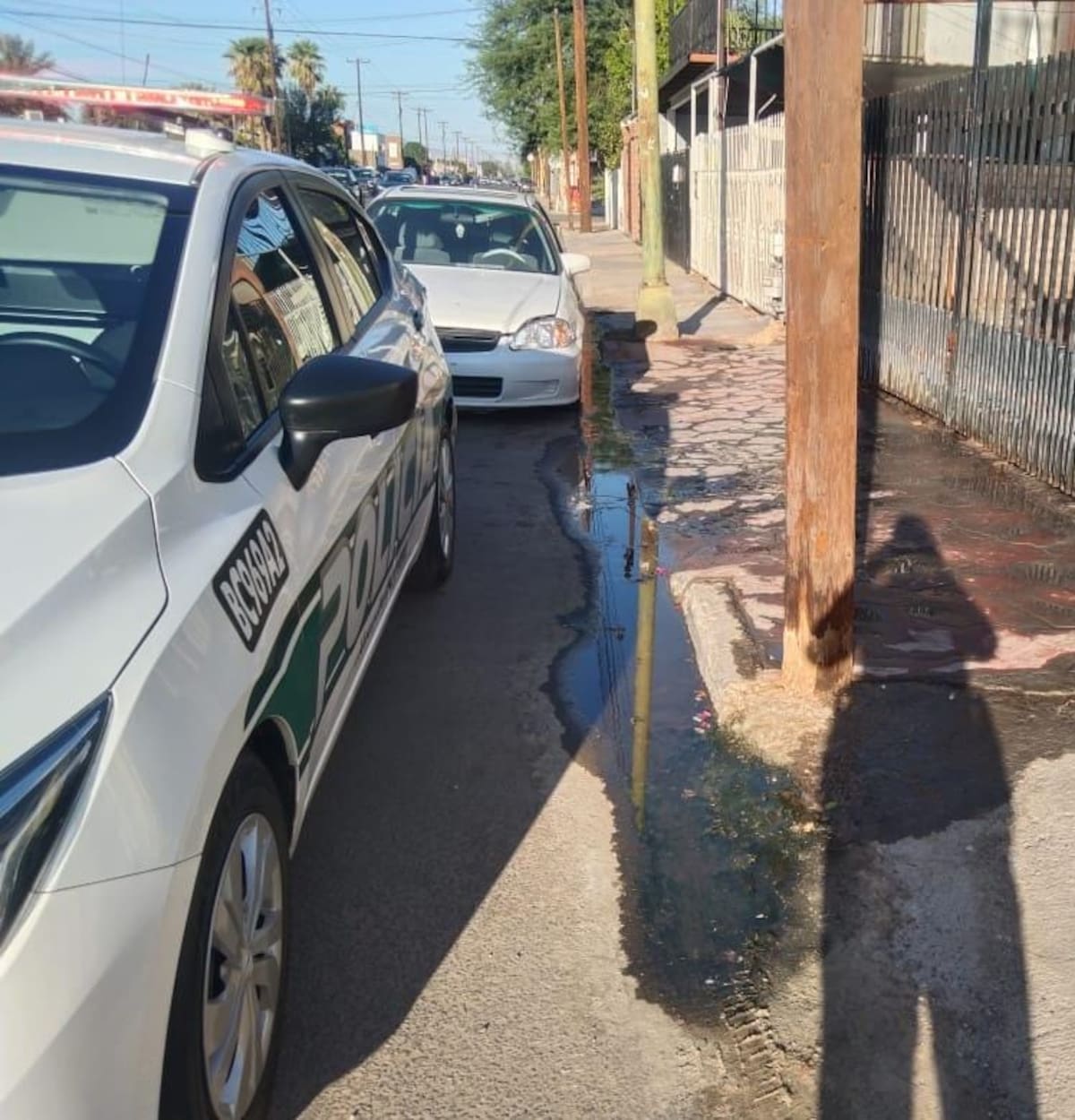 Foto: Cortesía.