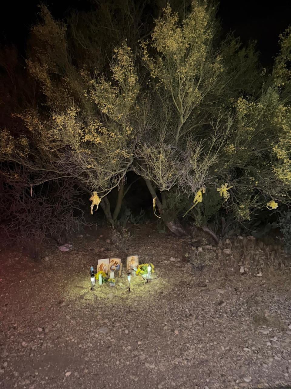 Vecinos de Nancy Guthrie han colocado velas y mensajes frente a su casa en Tucson como muestra de apoyo tras su desaparición