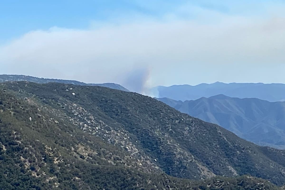 Incendio forestal consume 900 hectáreas en la Sierra de San Pedro Mártir