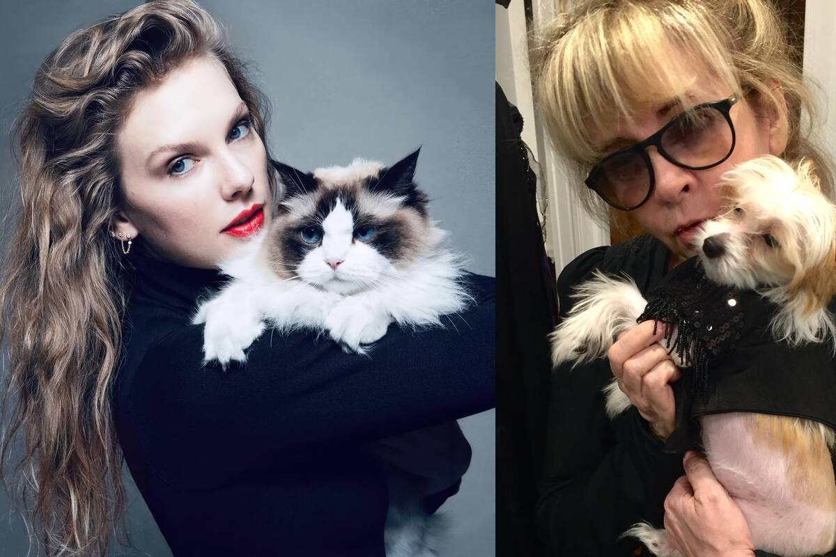 Stevie Nicks referencia a Taylor Swift y hace un llamado a votar