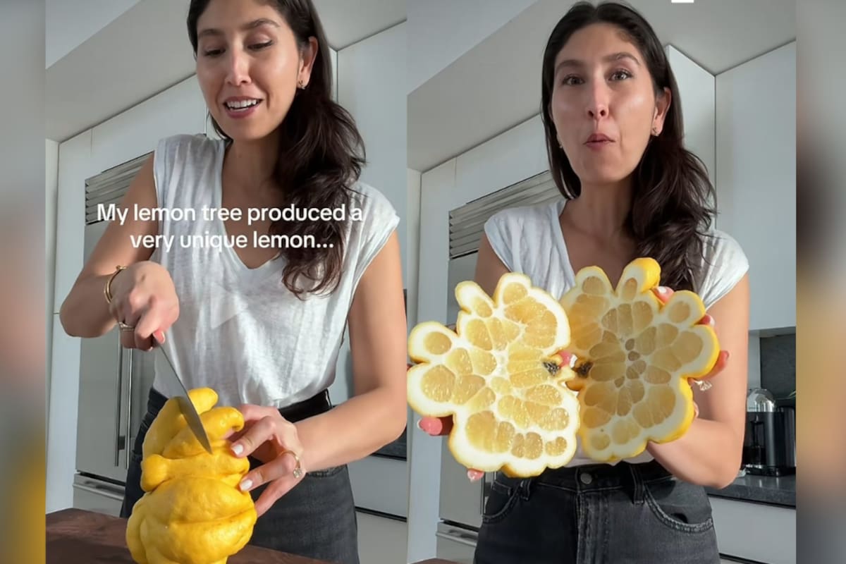 TikTok: esta mujer sorprende a todos al partir un enorme limón deforme