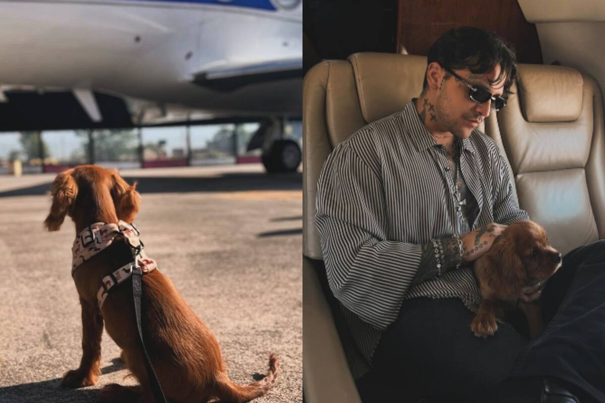Ángela Aguilar y Christian Nodal le hicieron un Instagram a su nueva perrita