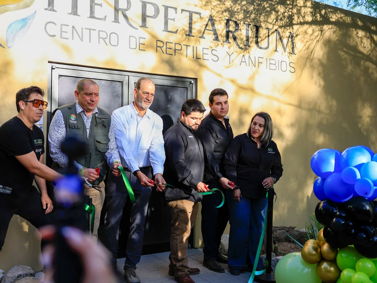 Foto: Juan J Morales