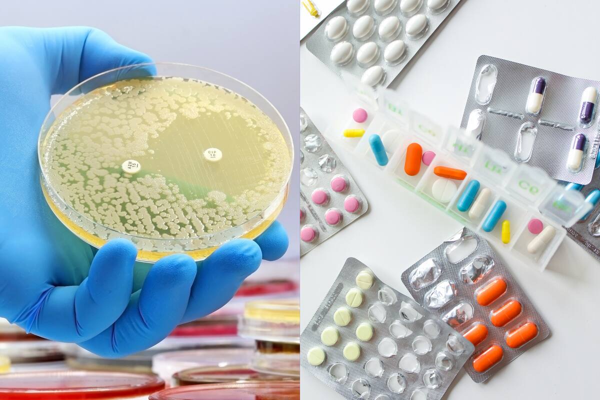 Origen y evolución de la resistencia a los antibióticos: Una mirada científica