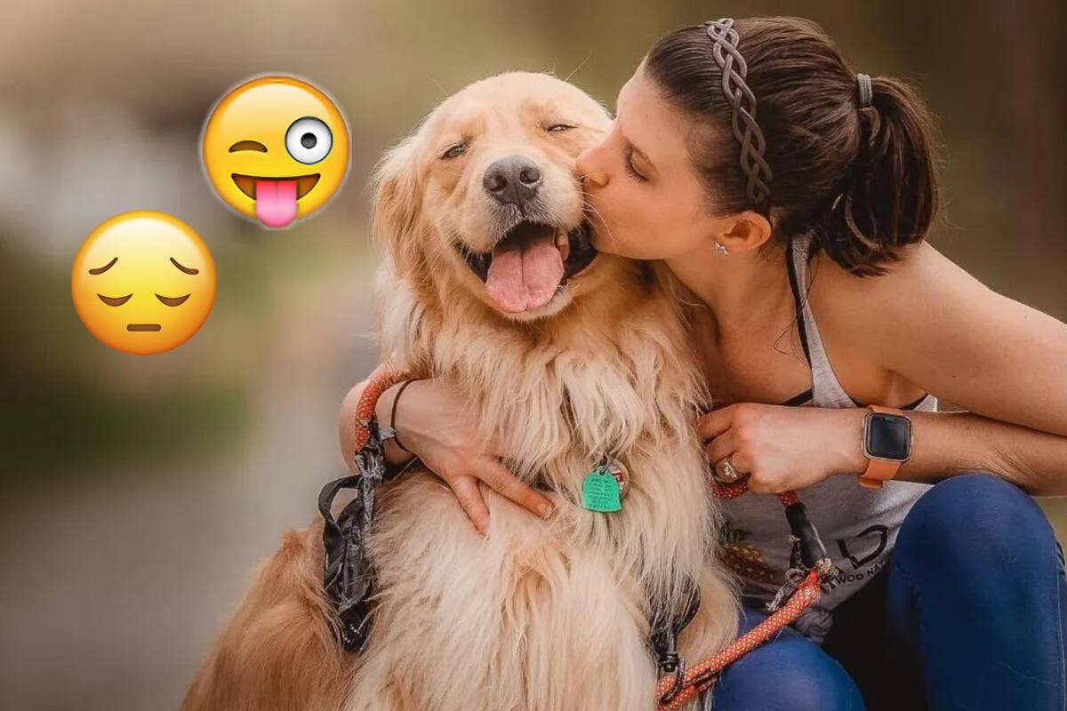 Así es cómo los perros detectan nuestras emociones y estado de salud