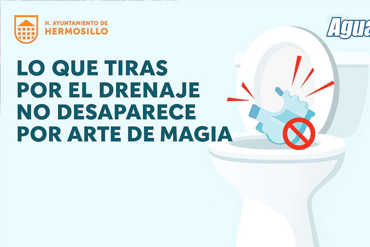 Esto es lo que debes evitar tirar al inodoro para no tapar el drenaje