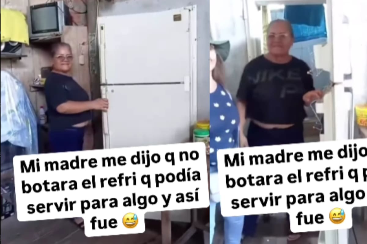 “Narnia se quedó corto con esta mujer”: madre convierte un refrigerador viejo en un original baño para su casa