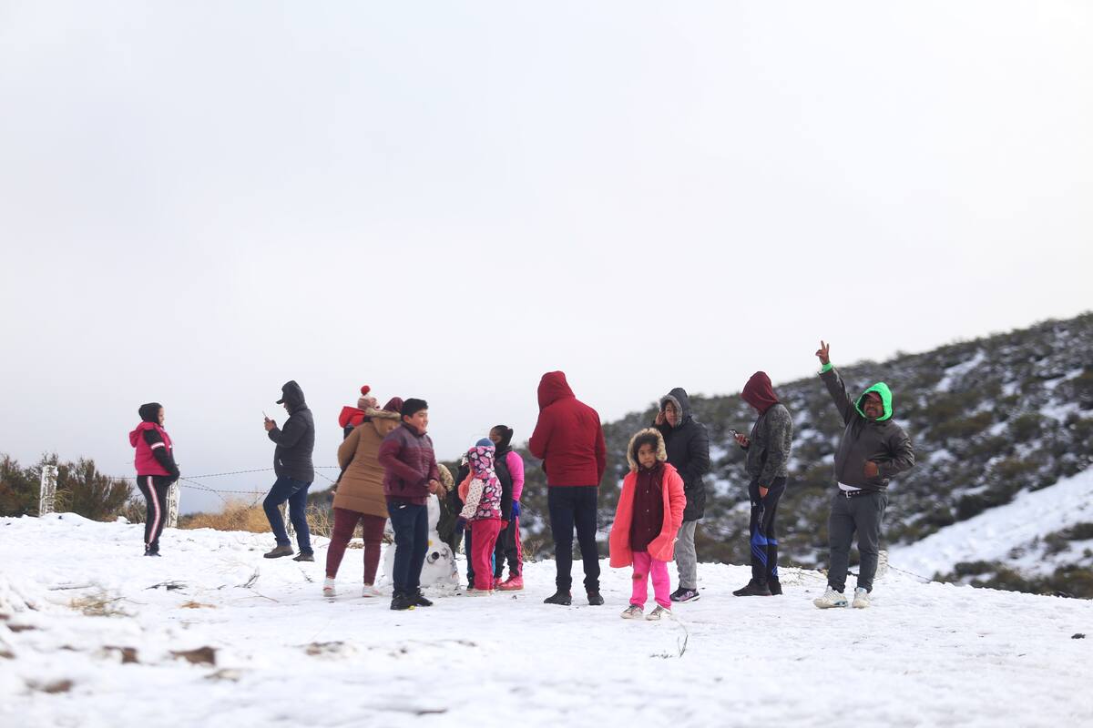 Disfrutan en familia de La Rumorosa nevada