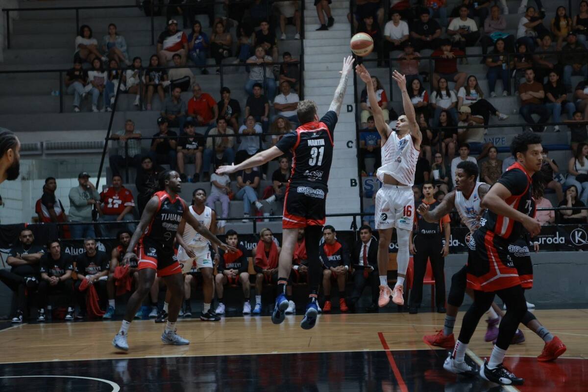 Tijuana Zonkeys regresará a casa para medirse ante Caballeros de Culiacán el próximo fin de semana.