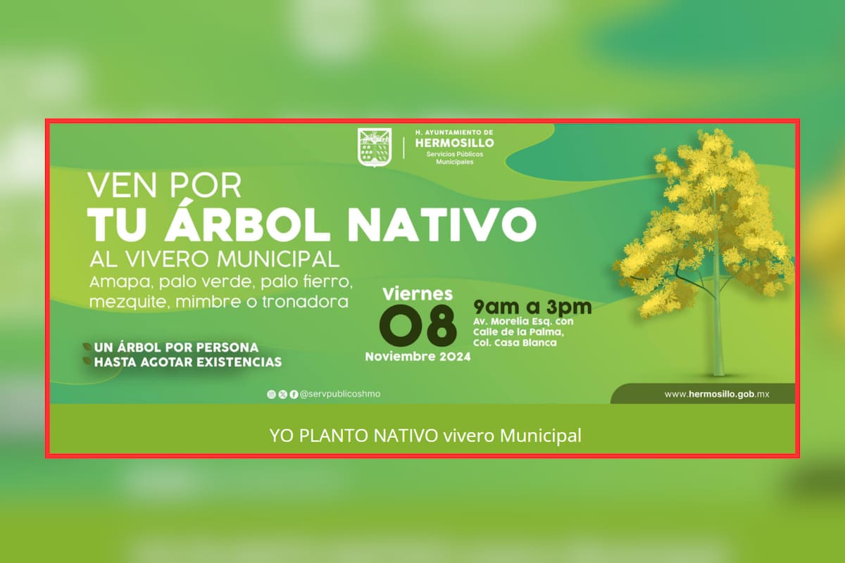 Mega donación de árboles nativos se realizará este viernes en Hermosillo
