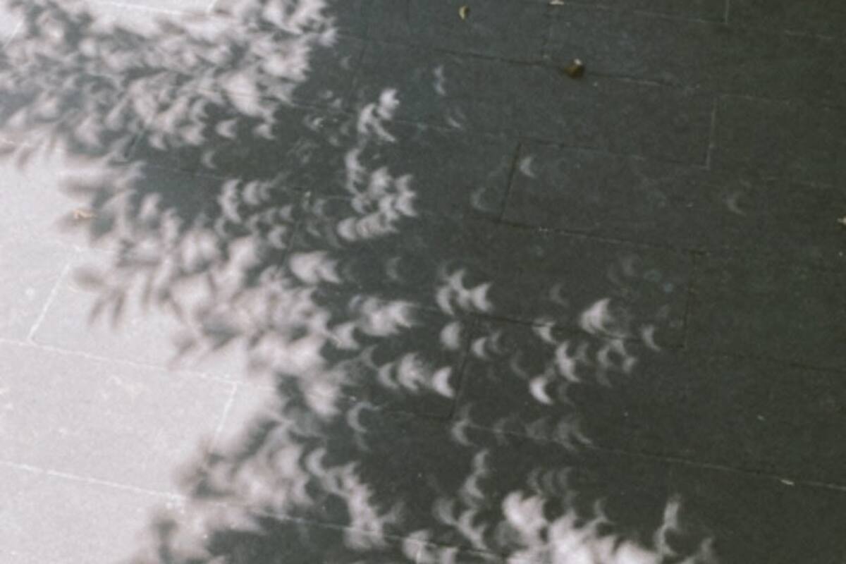 ¿Por qué se forman sombras de media luna bajo los árboles durante un eclipse solar?