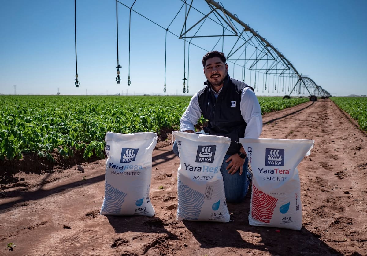 Yara México. Foto: Yara