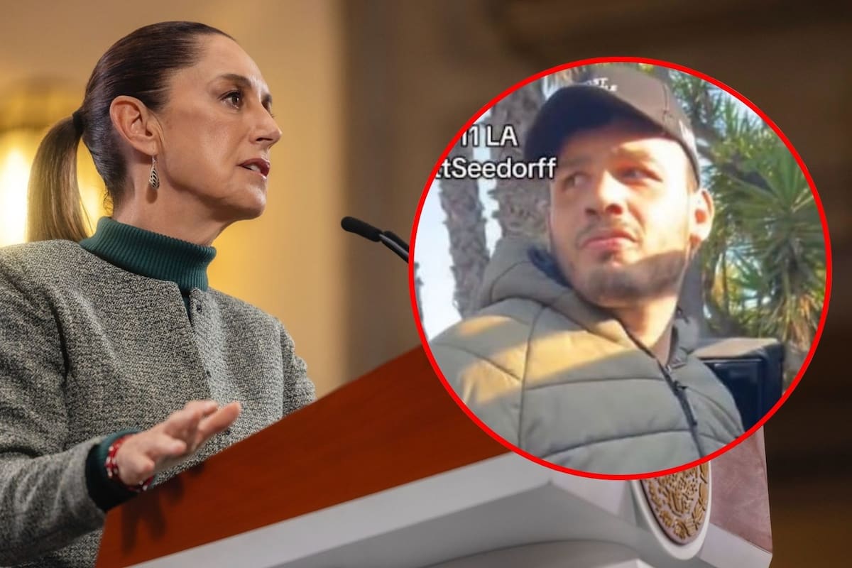 Sheinbaum asegura que no sabía que Julio Cesar Chávez Jr tenía orden de aprehensión en México por tráfico de armas