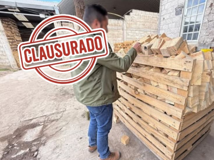Profepa clausura aserradero ilegal en Agua Blanca, Hidalgo; detecta irregularidades en otro establecimiento durante operativo forestal