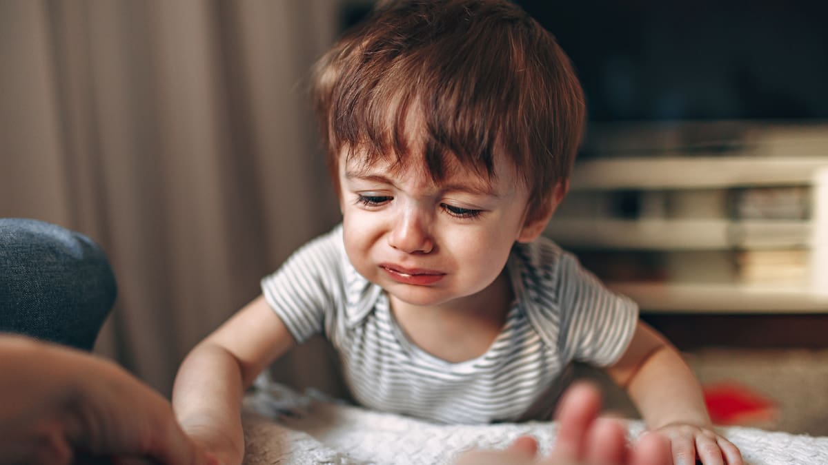 El caos doméstico, definido por ruido constante, desorden y falta de rutinas, puede afectar la salud mental de niños y adultos, según expertos de Psychology Today|Foto: Canva