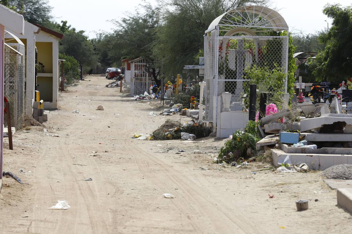 Reportan hasta 10 tumbas con daños al mes en panteones