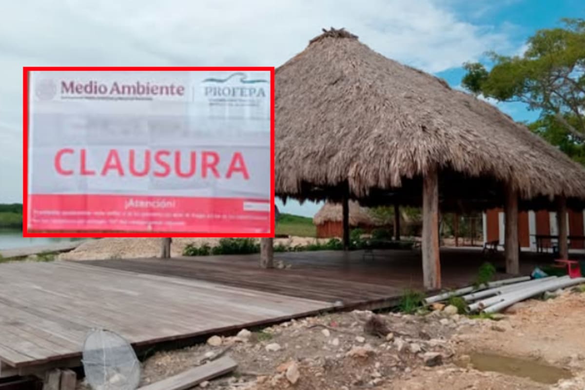 Clausuran construcciones ilegales en humedales de Quintana Roo: palapas, cabañas y muelle sin autorización