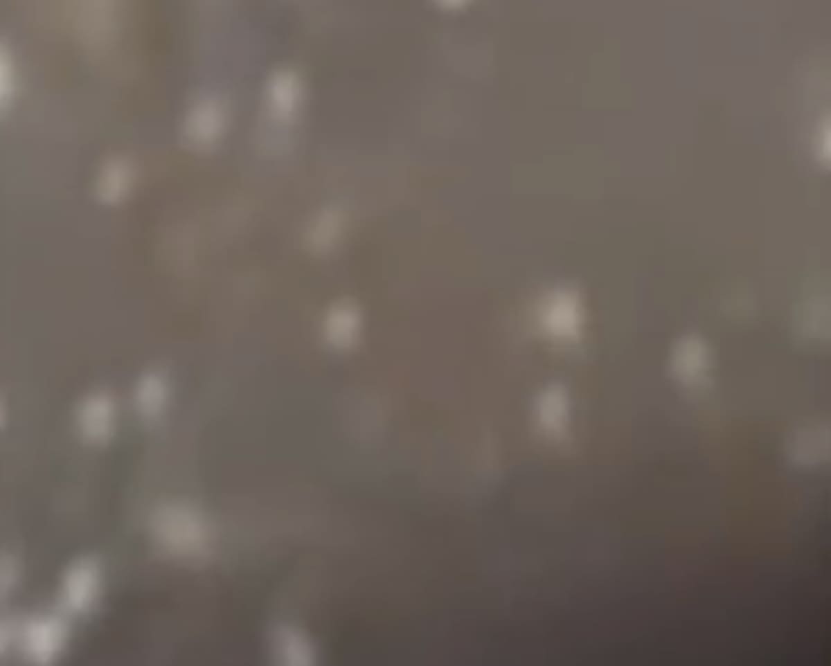 Captura de pantalla del video difundido. / Channel A.