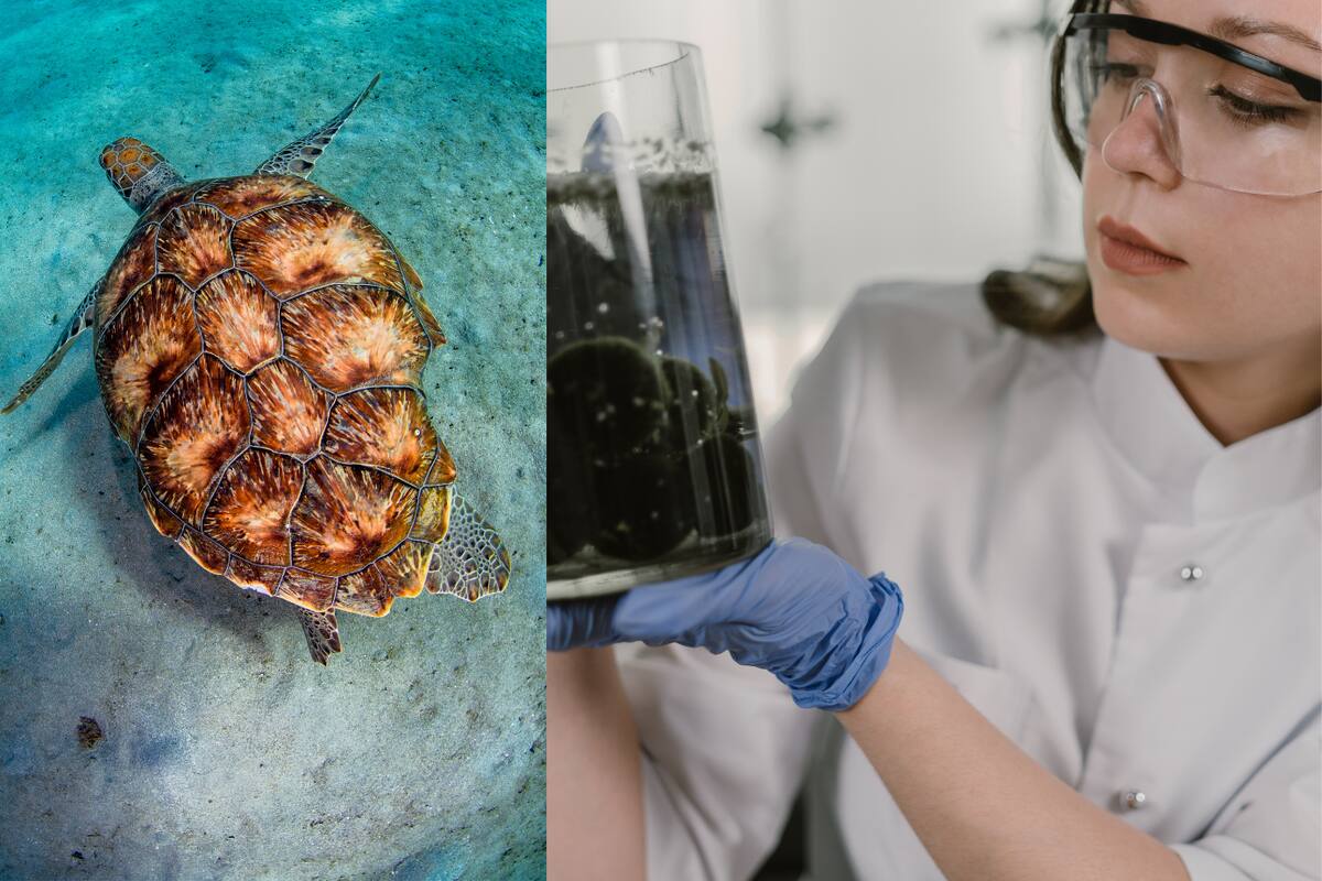 Efemérides del 16 de junio: ¿Qué pasó un día como hoy?