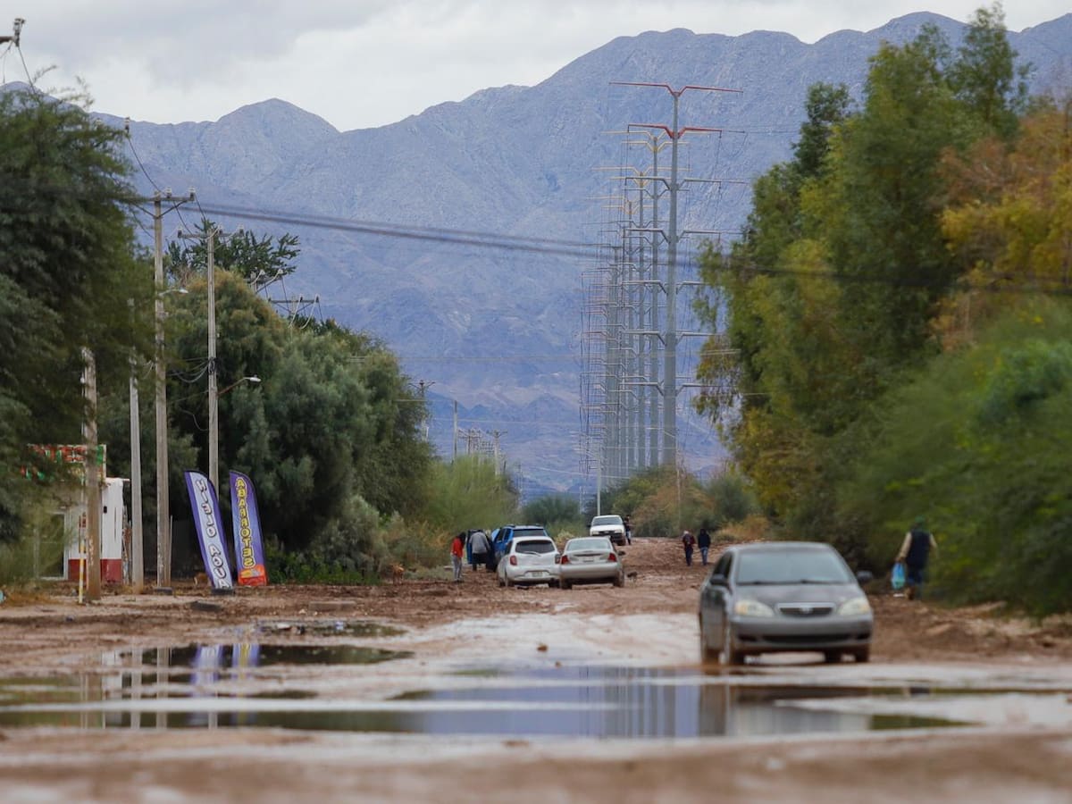 Foto: Juan J. Morales.