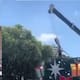 Tragedia en Brasil: Muere un trabajador cuando instalaba un árbol de navidad gigante; otro resultó herido