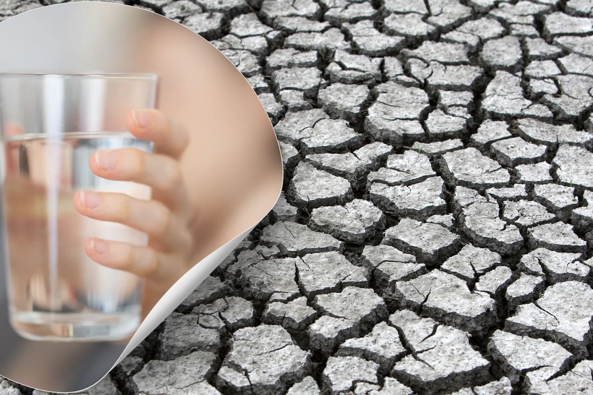 Detectar la deshidratación antes de sentir sed: claves para cuidar el equilibrio hídrico