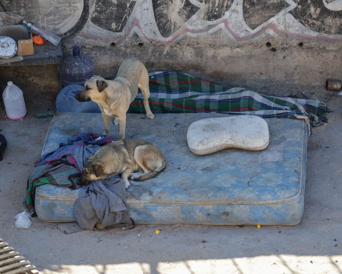 Encuentran a hombre muerto, desnudo y con quemaduras junto a patios del ferrocarril
Un hombre fue encontrado sin vida, tendido y envuelto en una cobija, con algunas lesiones en su cuerpo, la mañana de este viernes, en una barda entre el puente de la calzada Independencia y los patios del ferrocarril.
Foto: Javier Gallegos