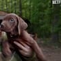 Netflix confirma qué raza será el cachorro que interpretará a Scooby-Doo