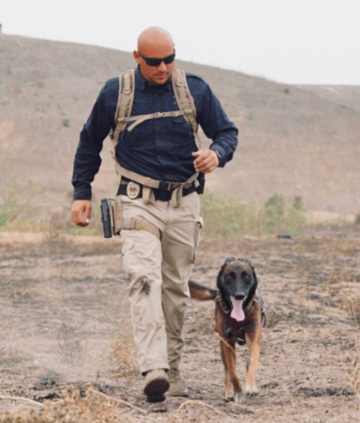 Debido a una complicación de salud y su edad, el agente canino Iker, adscrito a la Fiscalía General del Estado, falleció este viernes en Mexicali I Foto: Cortesía