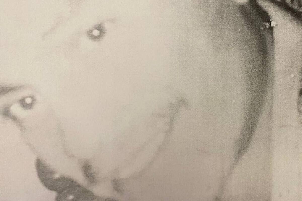 Se busca a Humberto Rodríguez Flores de 46 años de edad