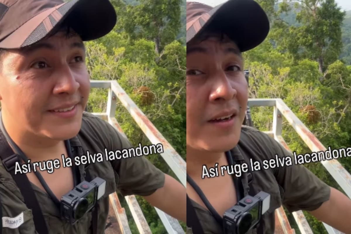 “Así de feroz se escucha”: Captan el impresionante sonido de la Selva Lacandona