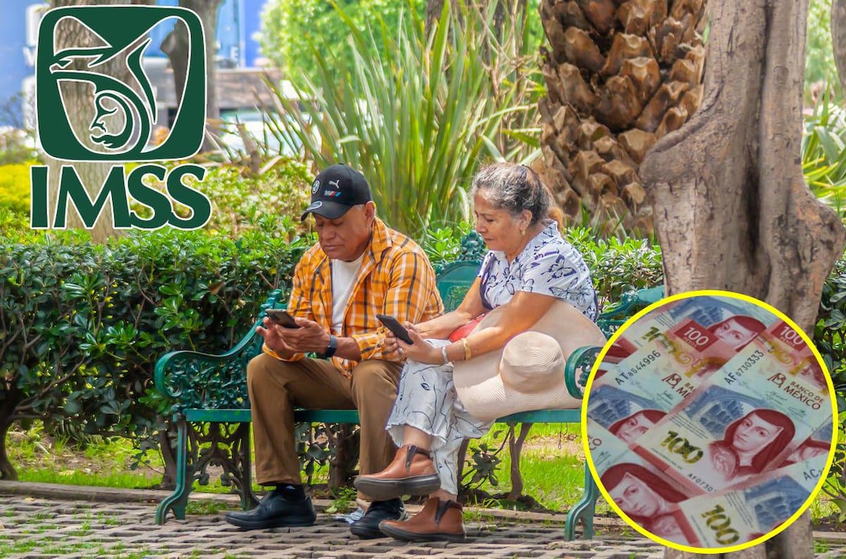 La Modalidad 40 del IMSS, es ideal para quienes dejaron la formalidad, pero aspiran recibir una pensión cuando se returen. | Foto: Pexels/ Canva