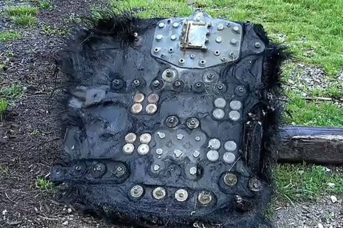 Resuelven misterio de “ovni” con pelos estrellado en Estados Unidos