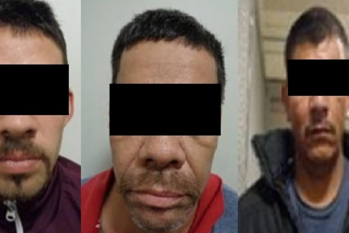 Desmantelan a banda de ladrones