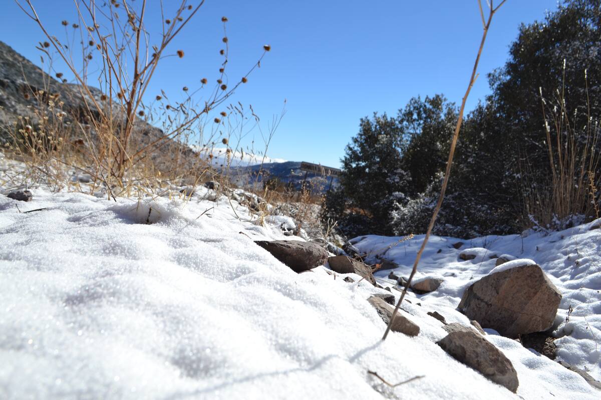 Frente frío número 4 bajará la temperatura en Baja California y Sonora