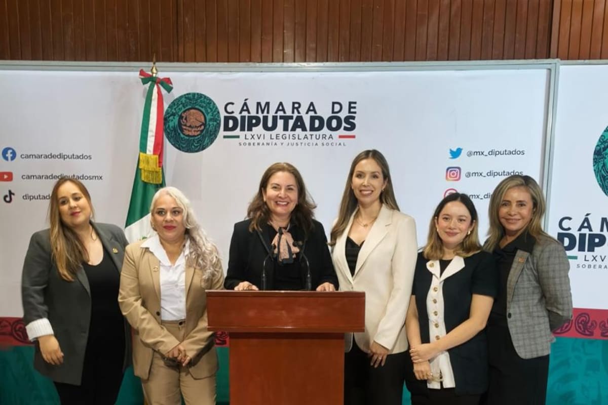 Lleva Barra de Abogadas propuesta de reforma para justicia de adolescentes a la Cámara de Diputados