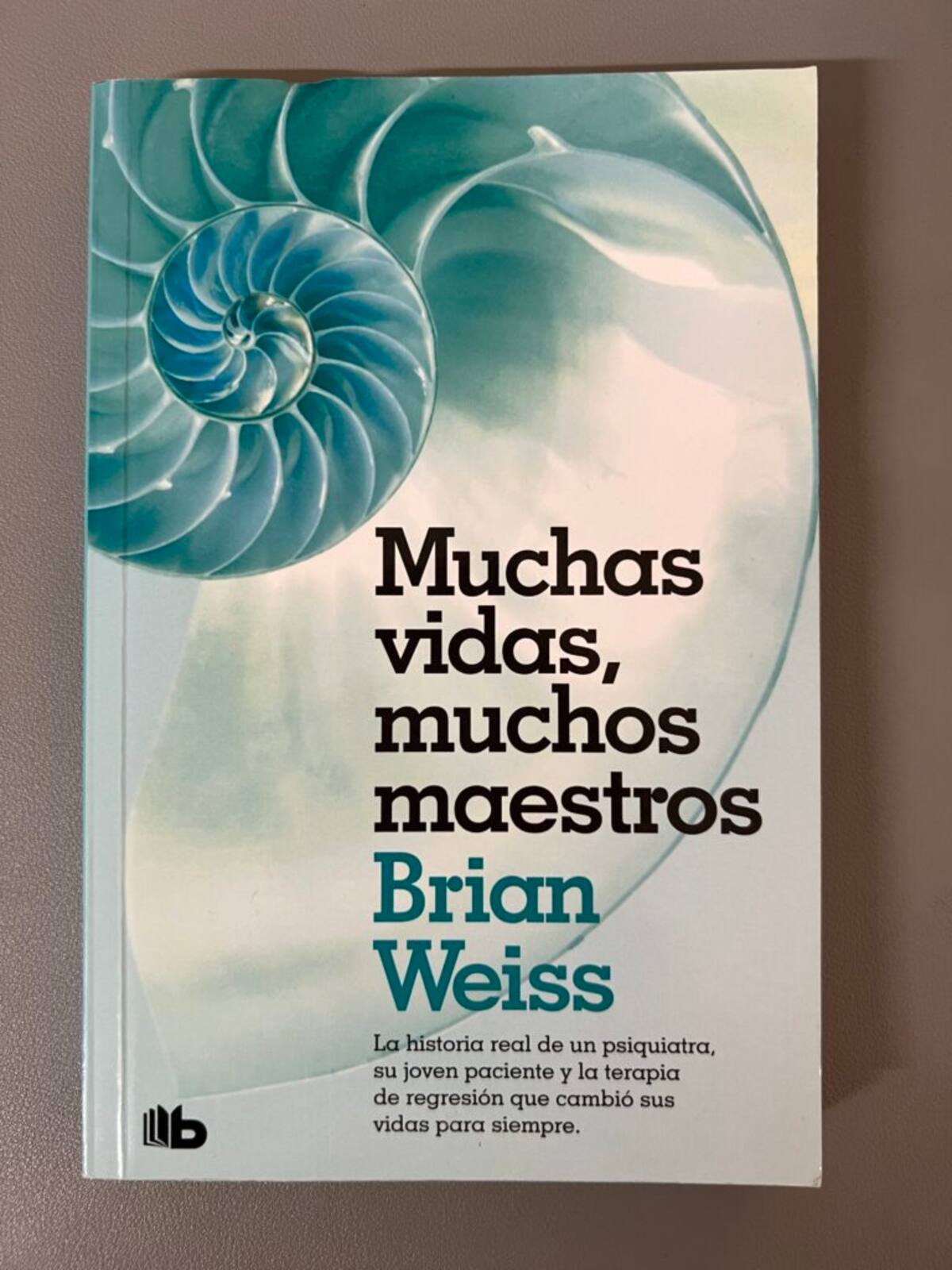 Muchas vidas, muchos maestros.