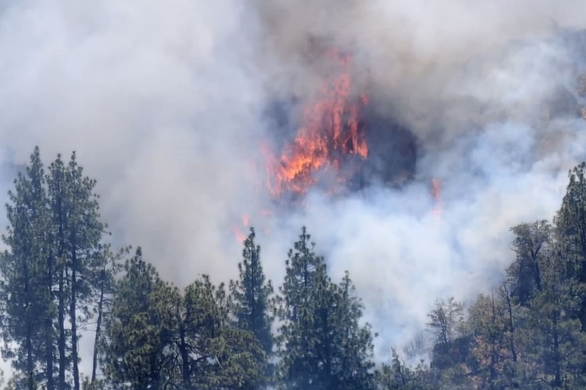Continúa incendio forestal en San pedro Mártir