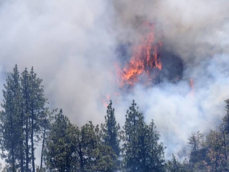 Continúa incendio forestal en San pedro Mártir