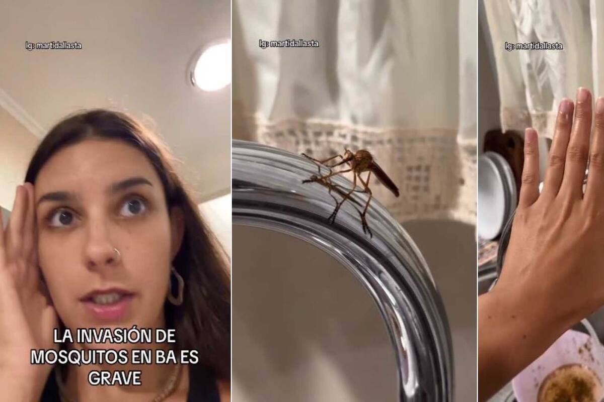 VIDEO: Mujer capta a un ‘mosquito gigante’ en su hogar: “ese no pica, te hace transfusión”