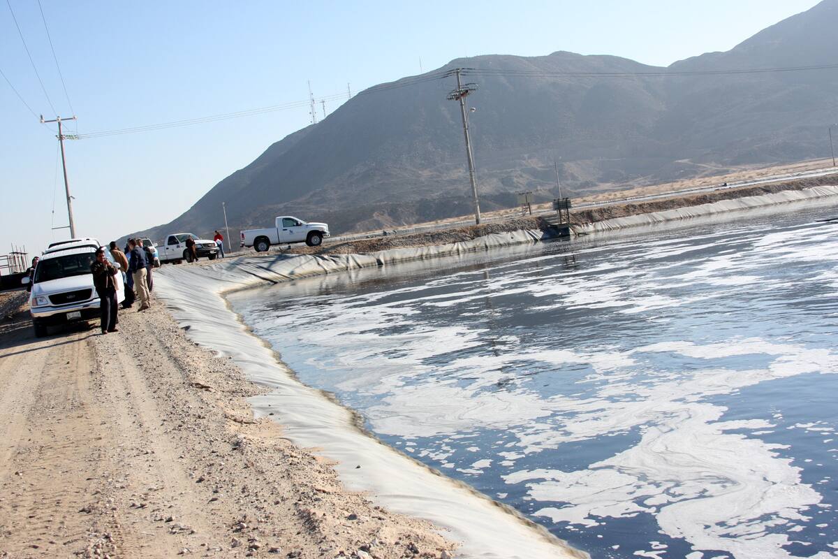 Fondean ampliación de humedal artificial para el tratamiento de agua