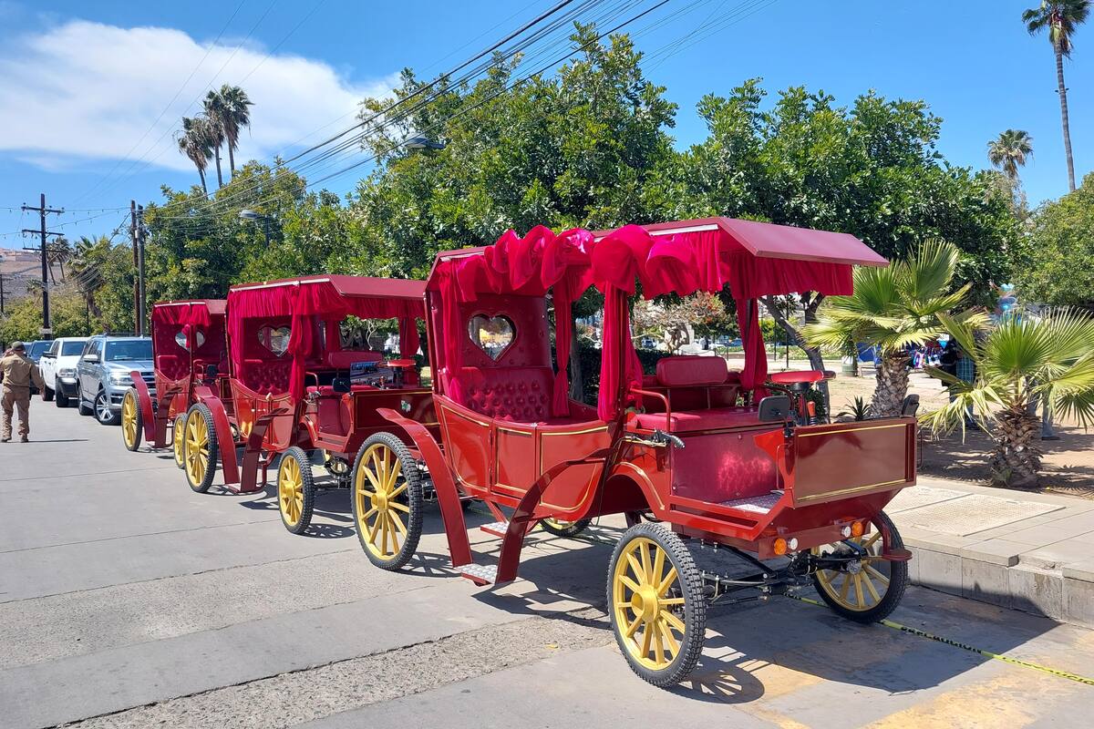 Sustituyen caballos con 11 calandrias eléctricas en Ensenada
