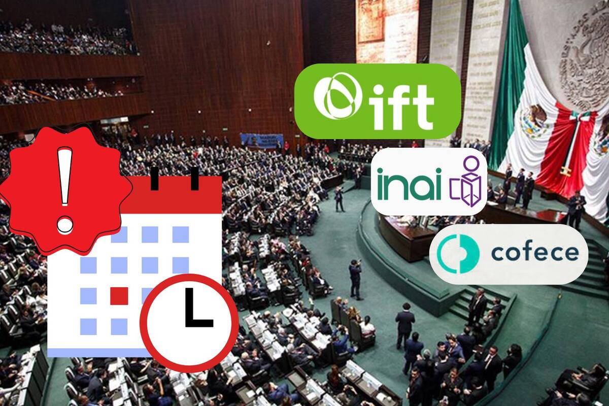 Esta es la fecha límite de la posible desaparición de órganos autónomos; diputados votarán