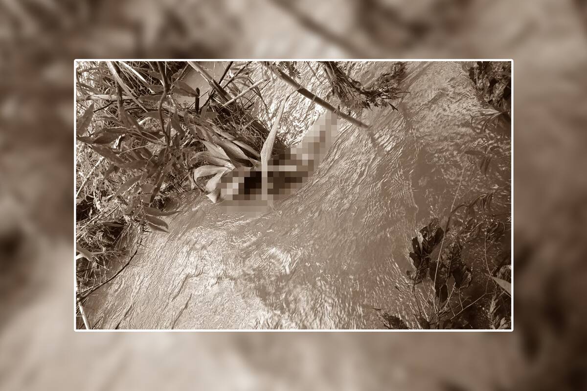 Hallan cuerpo de mujer arrastrada por la corriente de Alberto; suman 5 muertes en NL